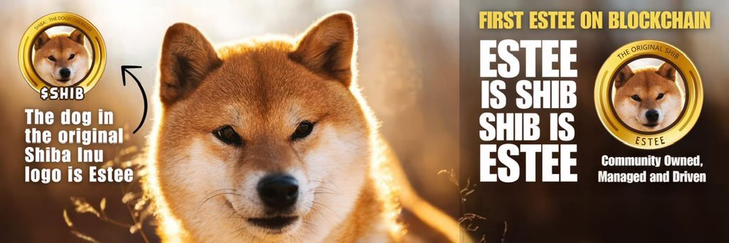 esteecoin's tweet photo. @binance Top dog  🐕 is #ESTEE $ESTEE because its the dog on shiba inu first logo, and owner name @IrinaValko7920 is with us. https://t.co/7LLQSJHa6e