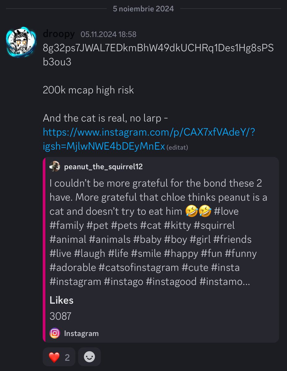 droopy ₿ tweet media