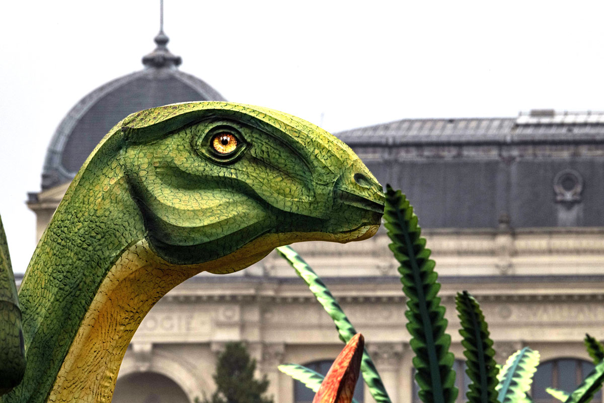 Le_Museum's tweet photo. Ouvrez l’œil ! 👀 Vous pourriez bien être surpris par un dinosaure dans les allées du Jardin des Plantes...

✨🦕 Dès le 20 novembre, embarquez pour un voyage lumineux à la découverte des espèces du Jurassique 👉
https://t.co/r5sz9XTAB7

#JurassiqueIlluminé https://t.co/yDzqsBuhFD