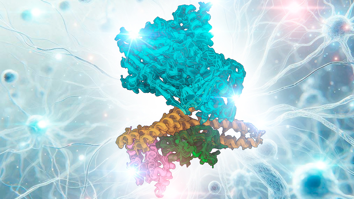 Daniel Rozbesky (@rozbeskylab) on Twitter photo š Exciting News! Our latest research on the structural basis of MICAL autoinhibition has just been published in <a href="/NatureComms/">Nature Communications</a> ! This study sheds light on the mechanisms that control MICAL proteins, which play a critical role in cellular dynamics and processes like axon guidance. š Exciting News! Our latest research on the structural basis of MICAL autoinhibition has just been published in <a href="/NatureComms/">Nature Communications</a> ! This study sheds light on the mechanisms that control MICAL proteins, which play a critical role in cellular dynamics and processes like axon guidance.