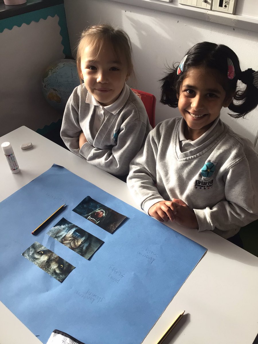 Briar Hill Primary School tweet media