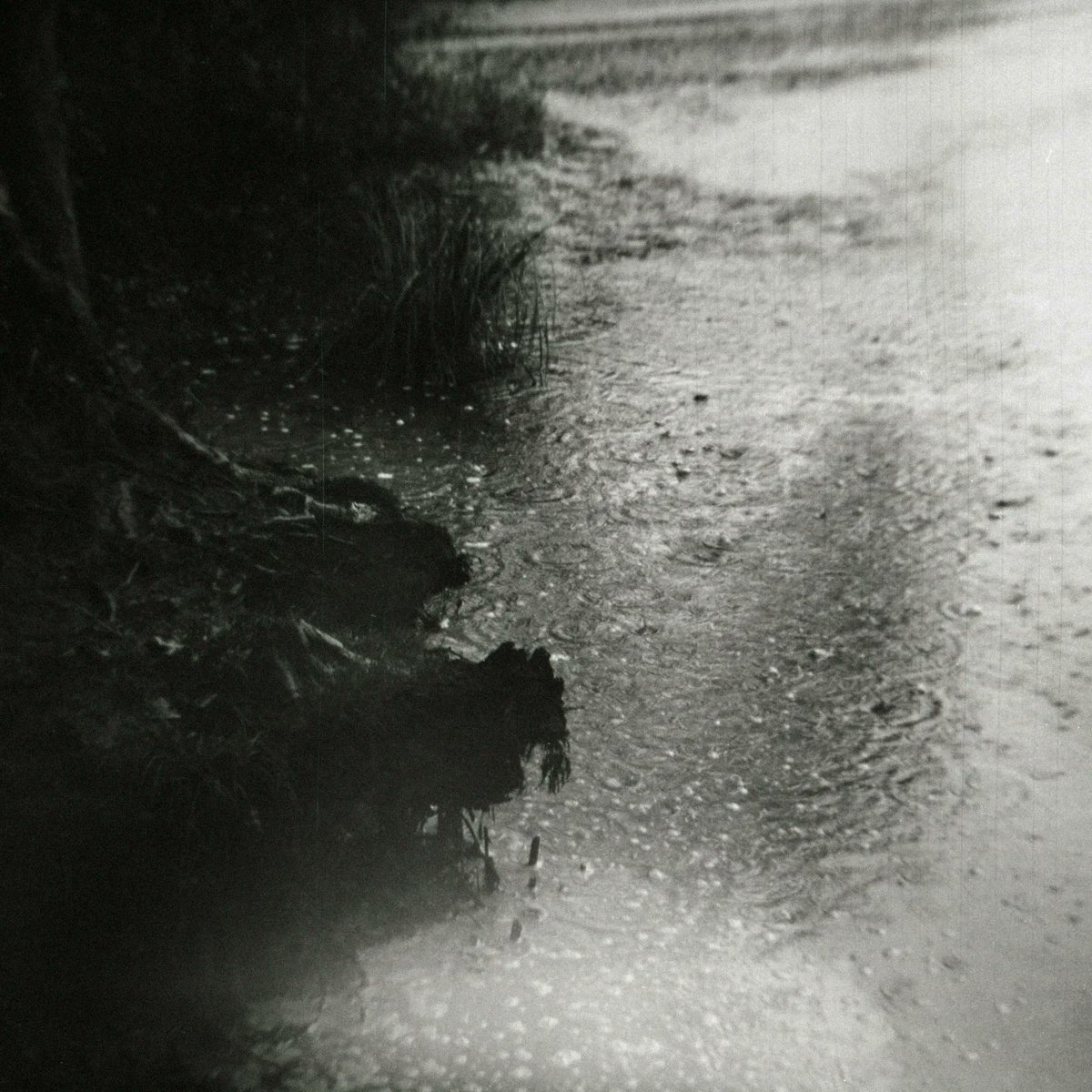 *NEW RELEASE*

Hey guys. I just released a new 3-song EP called 'Age of Abandonment'. Available to stream/buy/download at the following link...

thelonelybell.bandcamp.com/album/age-of-a…

Artwork : Norbert Hayo