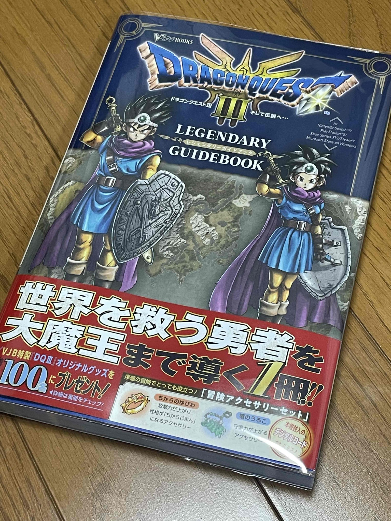 ドラゴンクエスト3 そして伝説へ… LEGENDARY GUIDEBOOK／V