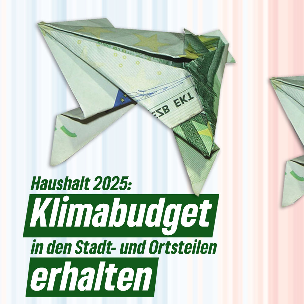 Im Rahmen der Haushaltskürzungen in #Erlangen für das Jahr 2025 droht die Einstellung des Klimabudgets in den Stadt- und Ortsteilen. Wir wollen dieses bürgernahe Programm zur Förderung von Klimaschutz unbedingt erhalten.
gl-erlangen.de/klimabudget-er…
#klimanotstand #haushaltsloch