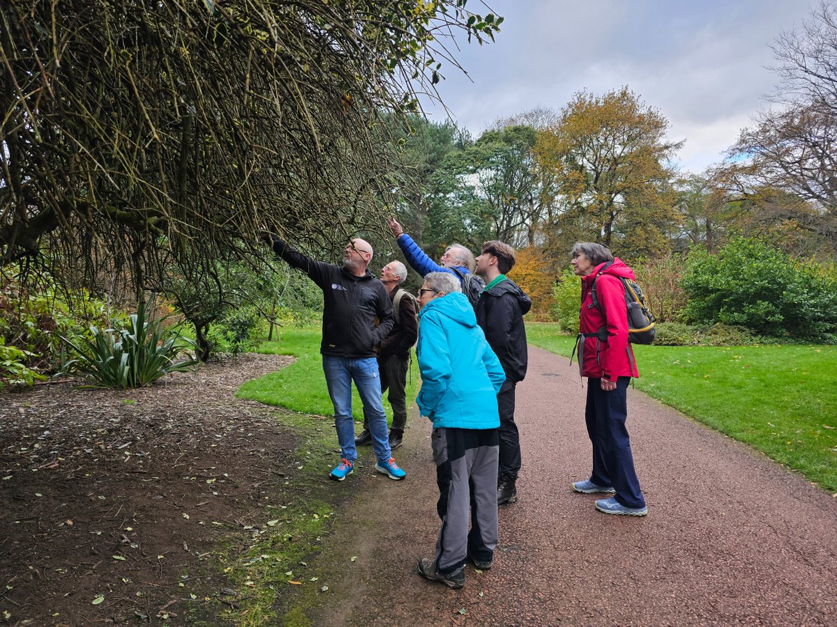 Forest_Research's tweet image. 🥼🌳 We joined up with the @WoodlandTrust to host 3 science days for #Observatree volunteers at @TheBotanics, @KewScience &amp;amp; @BIFoRUoB

If you are interested in volunteering, please sign up to the e-newsletter for announcements: observatree.org.uk/get-in-touch/n…