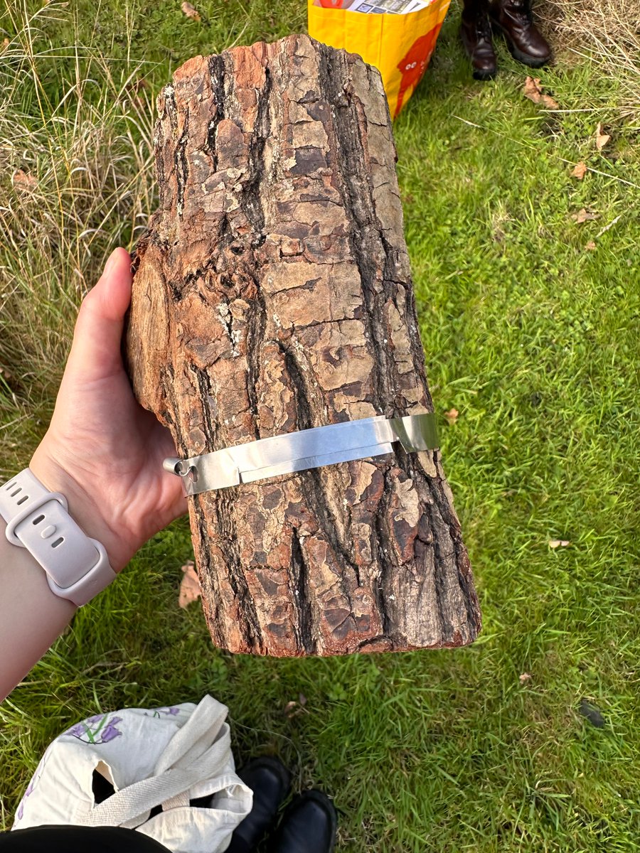 Forest_Research's tweet image. 🥼🌳 We joined up with the @WoodlandTrust to host 3 science days for #Observatree volunteers at @TheBotanics, @KewScience &amp;amp; @BIFoRUoB

If you are interested in volunteering, please sign up to the e-newsletter for announcements: observatree.org.uk/get-in-touch/n…