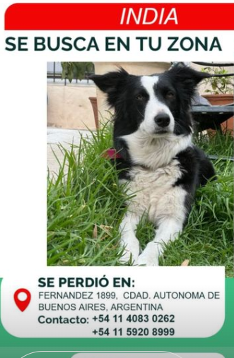 Celsa Ramirez tweet media