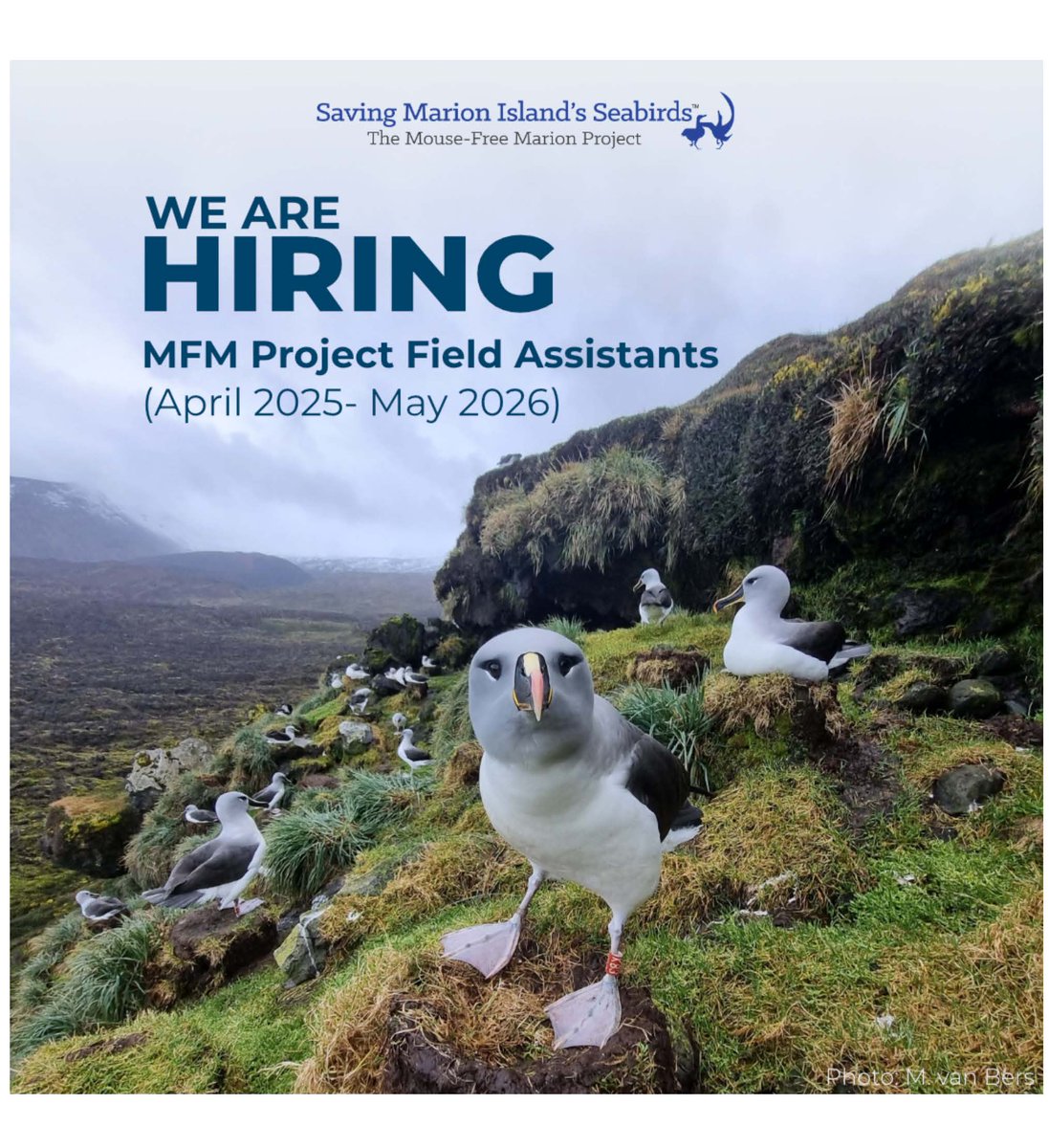 antarcticlegacy@sun.ac.za (@antarcticlegacy) on Twitter photo Join #MouseFreeMarion #MFM
Adventure of a lifetime? Opportunity for suitably qualified applicants Year on #MarionIsland monitoring support ongoing planning #mouseeradication
#SANAP @birdlife_za <a href="/environmentza/">Environmentza</a> <a href="/Fitztitute/">FitzPatrick Ins</a> <a href="/mapru_nmmu/">MAPRU</a> <a href="/dstigovza/">DEPARTMENT OF SCIENCE,TECHNOLOGY & INNOVATION</a> <a href="/nrf/">Nick Frazier</a>
Advertisement: Join #MouseFreeMarion #MFM
Adventure of a lifetime? Opportunity for suitably qualified applicants Year on #MarionIsland monitoring support ongoing planning #mouseeradication
#SANAP @birdlife_za <a href="/environmentza/">Environmentza</a> <a href="/Fitztitute/">FitzPatrick Ins</a> <a href="/mapru_nmmu/">MAPRU</a> <a href="/dstigovza/">DEPARTMENT OF SCIENCE,TECHNOLOGY & INNOVATION</a> <a href="/nrf/">Nick Frazier</a>
Advertisement: