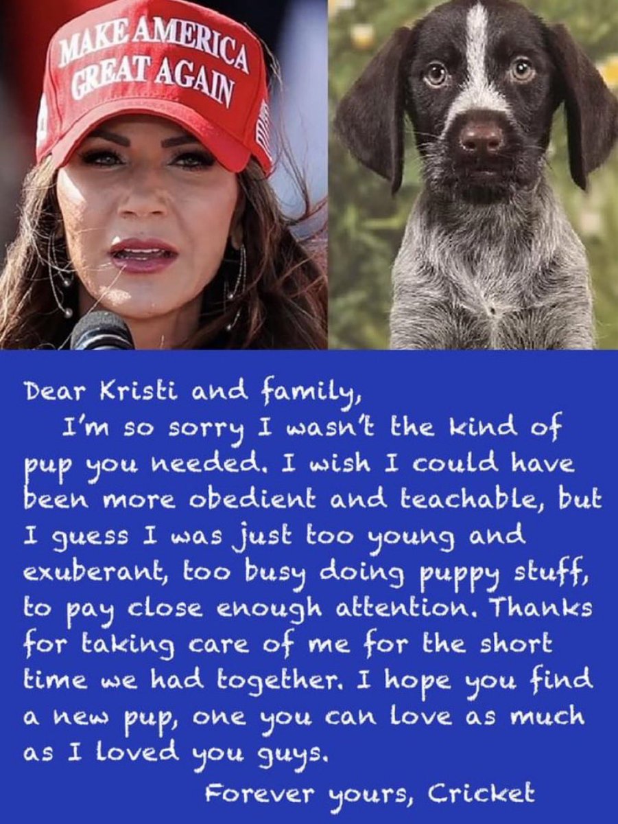 Brexit Buster tweet media