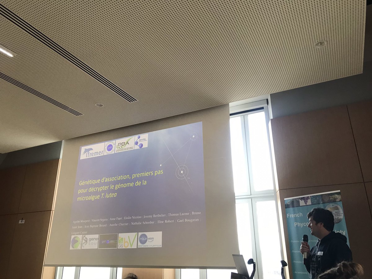 Présentation de Grégory Carrier sur la génétique d’association chez Tisochrysis lutea #JSPF2024 <a href="/SBRoscoff/">Station Biologique de Roscoff</a>