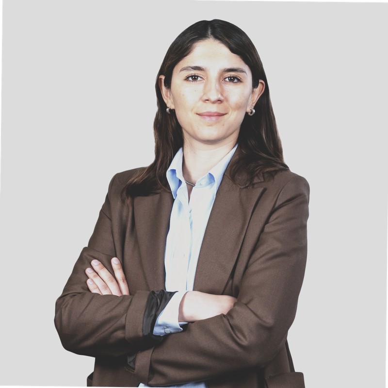 We are happy to announce that Prof. Tania Sandoval of Universidad Tecnica Federico Santa Maria will join #ASD2025 at Leipzig University as an invited speaker. Abstract submission is open at asd2025.com!  #ASDep #ALDep