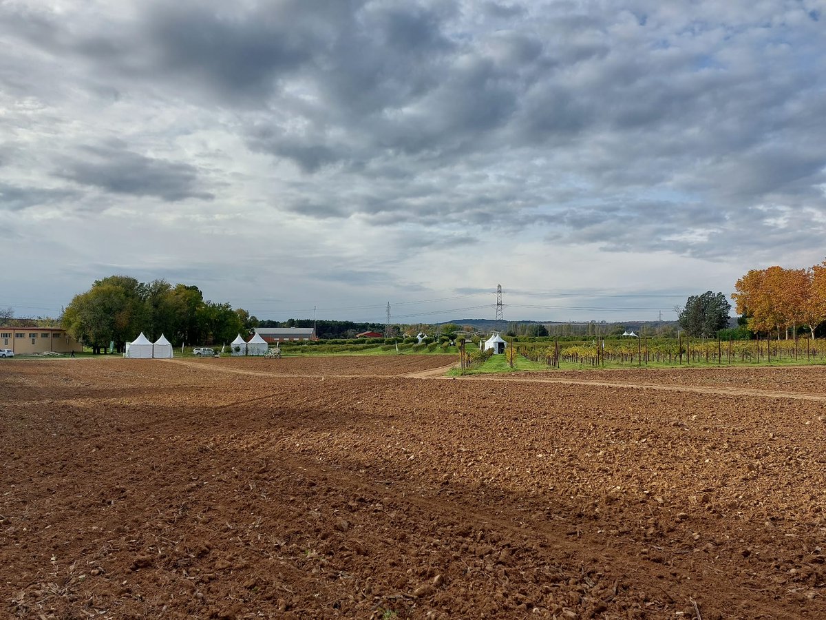 Syngenta España tweet media