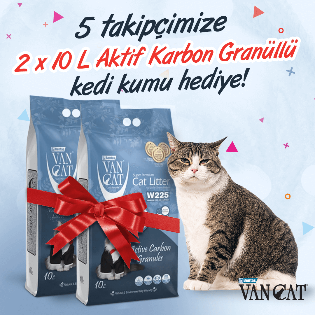 🎁 VanCat Kasım Çekilişi! 🎁

Çekilişimize katılmak için:
🐾 <a href="/VanCatTurkiye/">VanCat Türkiye</a> sayfamızı takip et,
🐾 Bu gönderiyi beğen ve repostla,
🐾 Bir arkadaşını yoruma etiketle!

5 takipçimize 2 x 10 L VanCat Aktif Karbon Granüllü #KediKumu #Hediye! 😻

🛎 Çekiliş sonuçları 21 Kasım!
