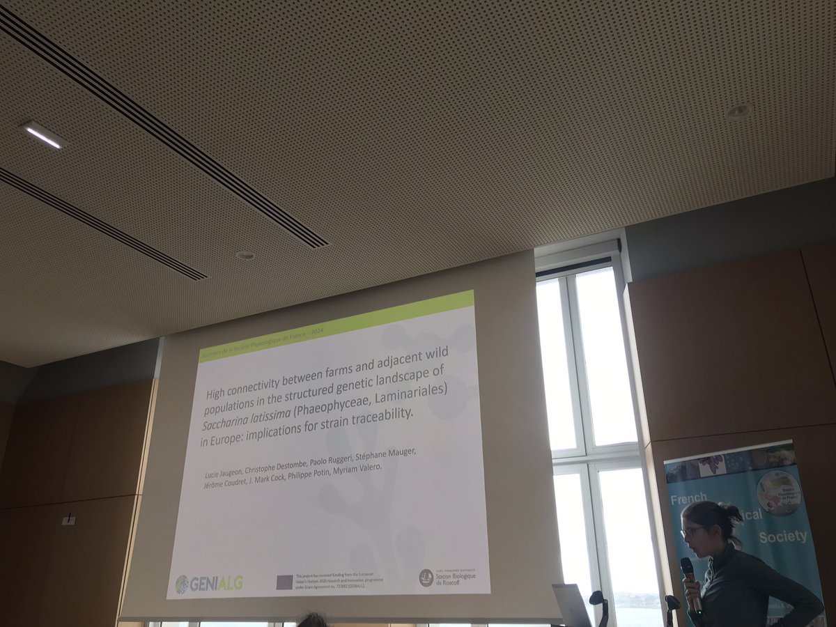 Présentation de Lucie Jaugeon sur la connectivité des populations cultivées et des populations sauvages de Saccharina latissima #JSPF2024 <a href="/SBRoscoff/">Station Biologique de Roscoff</a>