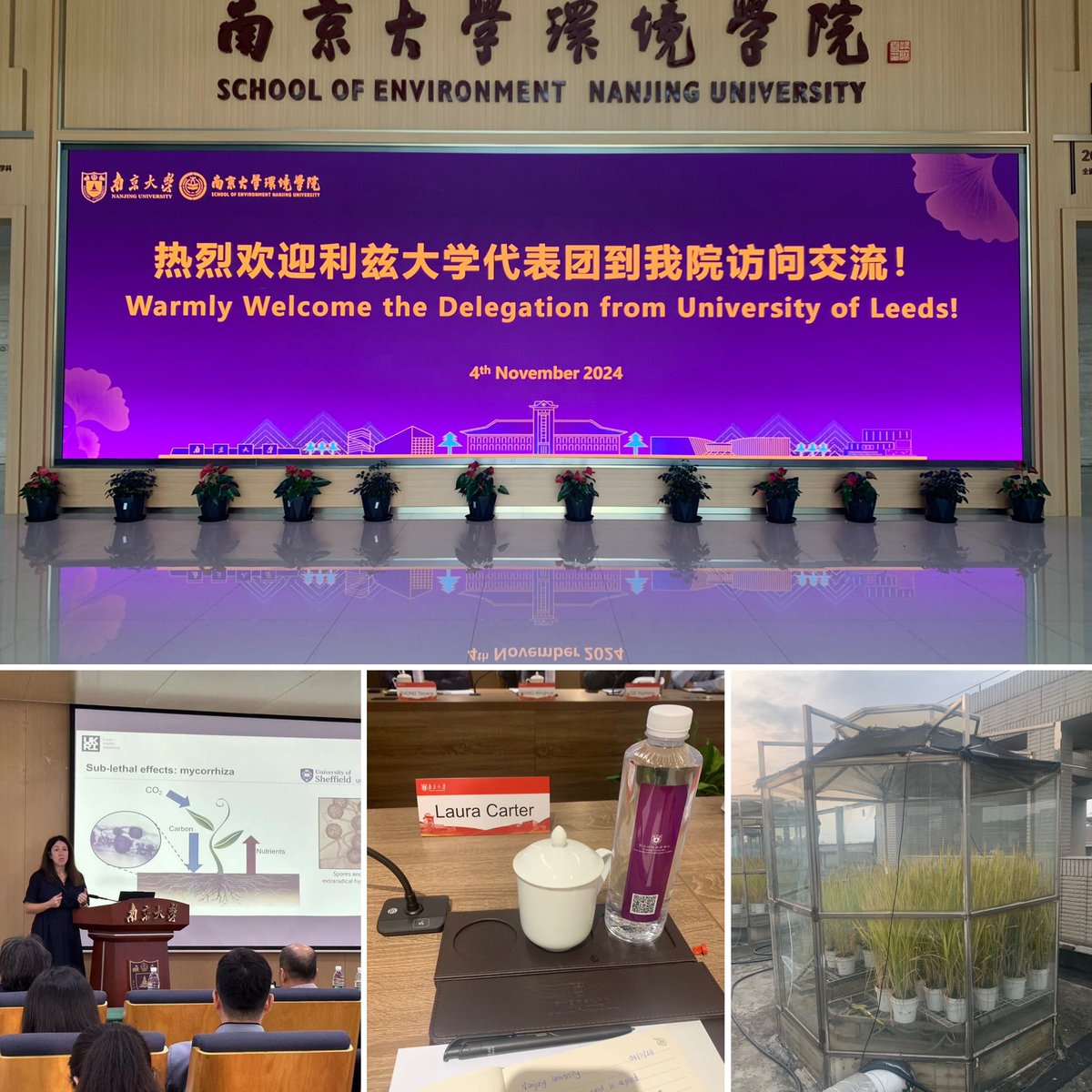 Prof. Laura Carter (@carterl_j) on Twitter photo 6 years since my last visit to <a href="/NanjingUnivers1/">Nanjing University</a> and it is still one of my favourite places to visit. A beautiful campus, great hospitality and interesting scientific discussions. We even managed to squeeze in time to see a greenhouse experiment 🤩🌱 6 years since my last visit to <a href="/NanjingUnivers1/">Nanjing University</a> and it is still one of my favourite places to visit. A beautiful campus, great hospitality and interesting scientific discussions. We even managed to squeeze in time to see a greenhouse experiment 🤩🌱