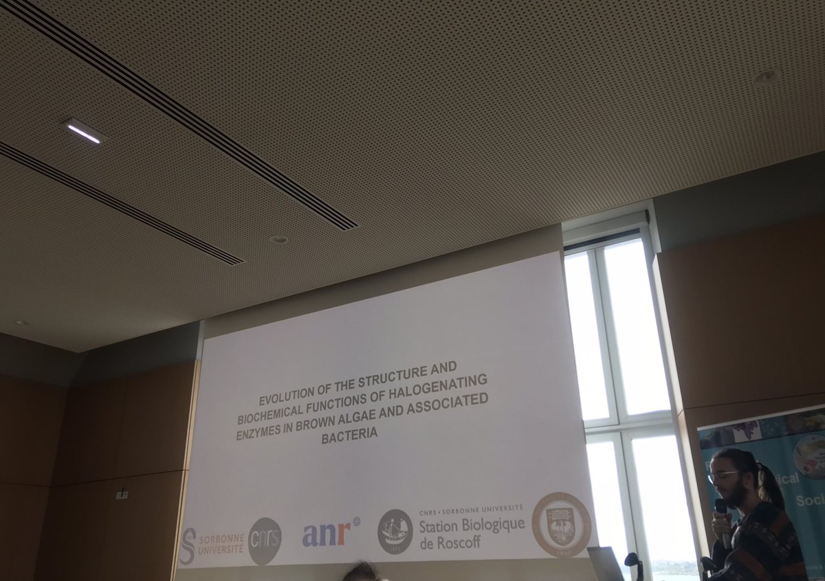 Présentation d’Etienne Emonot sur l’évolution de la structure et des fonctions biochimiques des halogénases chez les algues brunes et bactéries associées #JSPF2024 <a href="/SBRoscoff/">Station Biologique de Roscoff</a>
