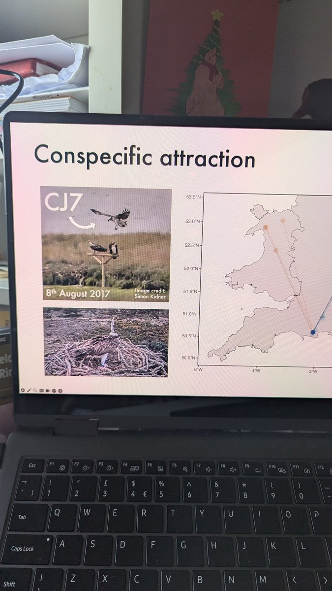 Catrin Eden (@cateden91) on Twitter photo Very cool talk by <a href="/BrittanyMaxted/">Brittany Maxted</a> <a href="/harbourbirds/">Birds of Poole Harbour</a> about Osprey translocation! Really nice to see CJ7 feature in a more scientific context, given that she is basically an Osprey celebrity on this platform. 💚 (It's not normal how invested I am in this bird) #BOUsci24 Very cool talk by <a href="/BrittanyMaxted/">Brittany Maxted</a> <a href="/harbourbirds/">Birds of Poole Harbour</a> about Osprey translocation! Really nice to see CJ7 feature in a more scientific context, given that she is basically an Osprey celebrity on this platform. 💚 (It's not normal how invested I am in this bird) #BOUsci24