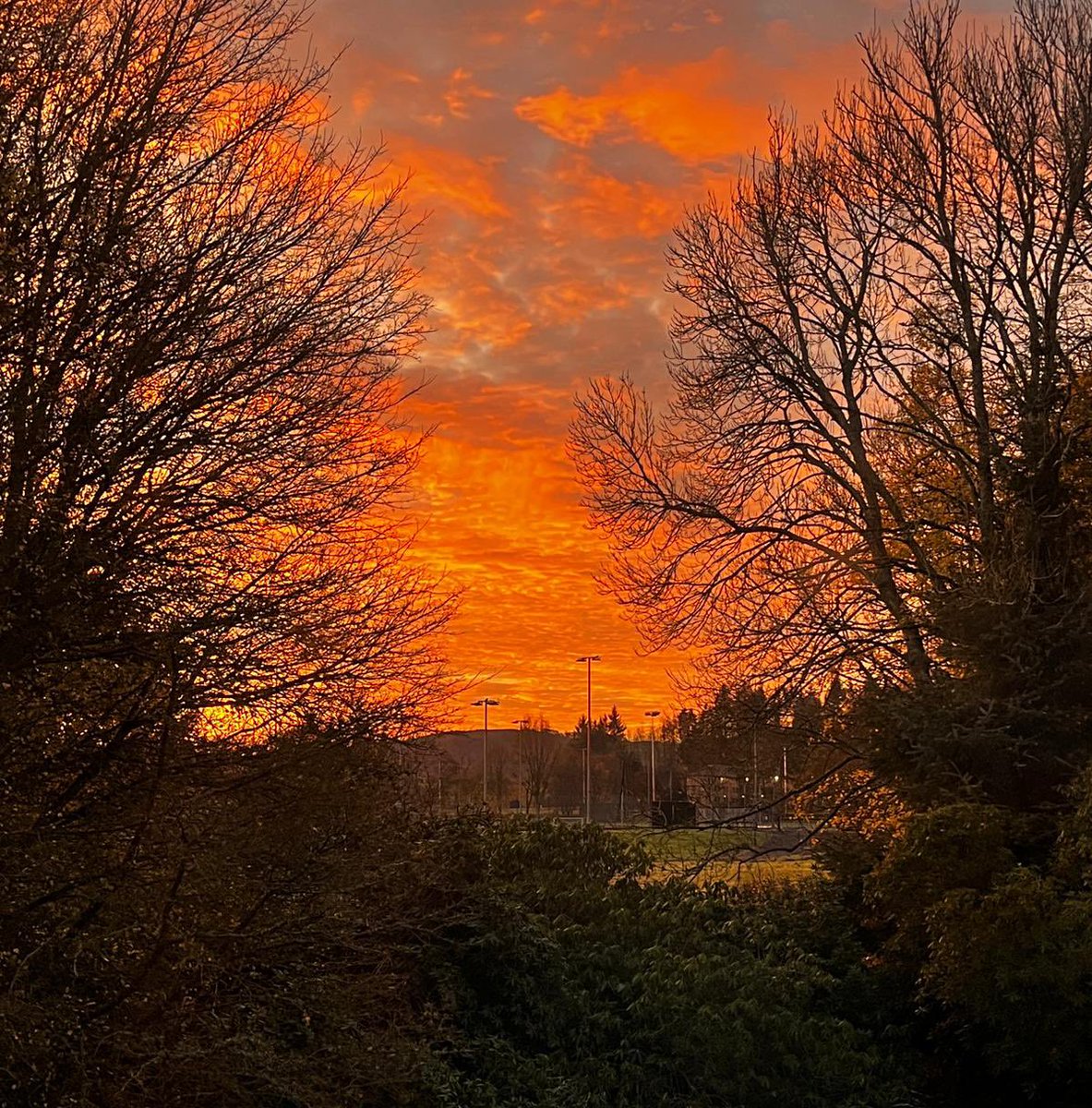 This morning <a href="/StrathallanSchl/">Strathallan School</a>!