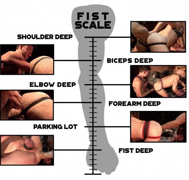 i_fisted's tweet photo. Fist Scale https://t.co/pU6syJiRa3