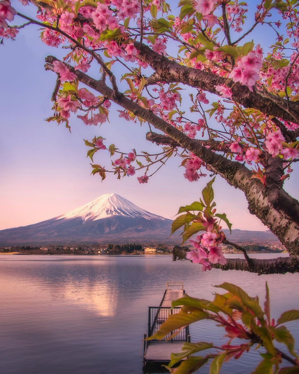 JeanetteEliz's tweet photo. Hello Everyone! 💛 Have a beautiful day  💞🌸💕 https://t.co/CWcb0IsEKy