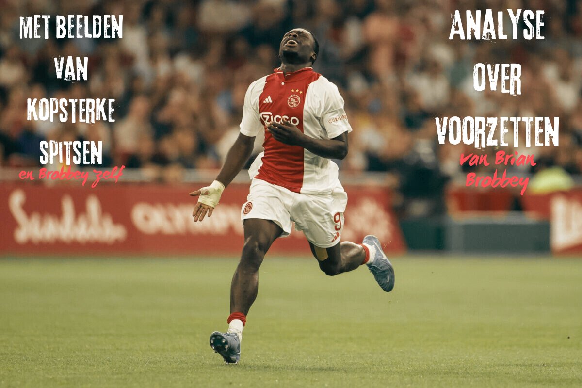 TactiekSteven tweet media