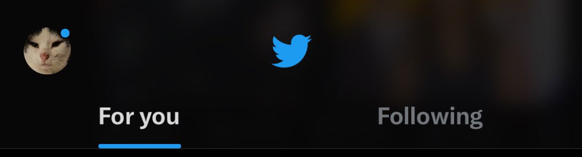 Looks like I will indeed make it to the end of days here without ever updating my phone app...😁
Twitter till the end.
Always twitter.