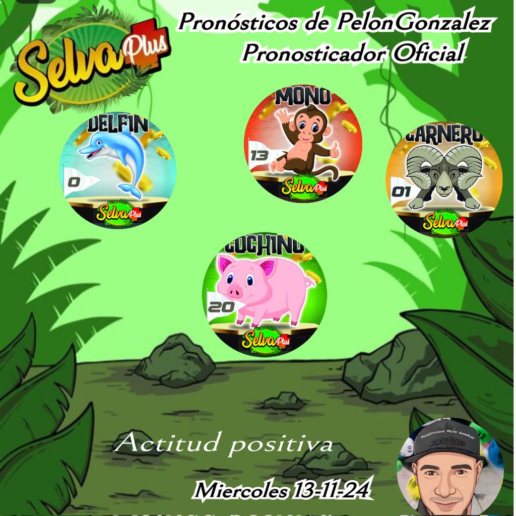 Pelón González VIP🦁🦊🐯 (@pelongonzalezp) on Twitter photo Hoy Miércoles 13 de Noviembre llegaron los #regalos de <a href="/PelonGonzalezP/">Pelón González VIP🦁🦊🐯</a> preparados para cazar 🏹🎯💣 los Animalitos en <a href="/SelvaPlus/">***SELVA PLUS***</a> #apoyamitrabajo Hoy Miércoles 13 de Noviembre llegaron los #regalos de <a href="/PelonGonzalezP/">Pelón González VIP🦁🦊🐯</a> preparados para cazar 🏹🎯💣 los Animalitos en <a href="/SelvaPlus/">***SELVA PLUS***</a> #apoyamitrabajo