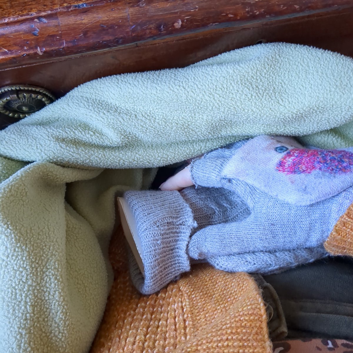 HannahShekle's tweet photo. Desk set up from now until Spring. Blanket, hot water bottle, fingerless gloves (and yes they have hideous kittens in hats on). Anyone else get freezing when typing?!
#AuthorsOfTwitter #writerscommunity #booklovers https://t.co/110xz1dqyH