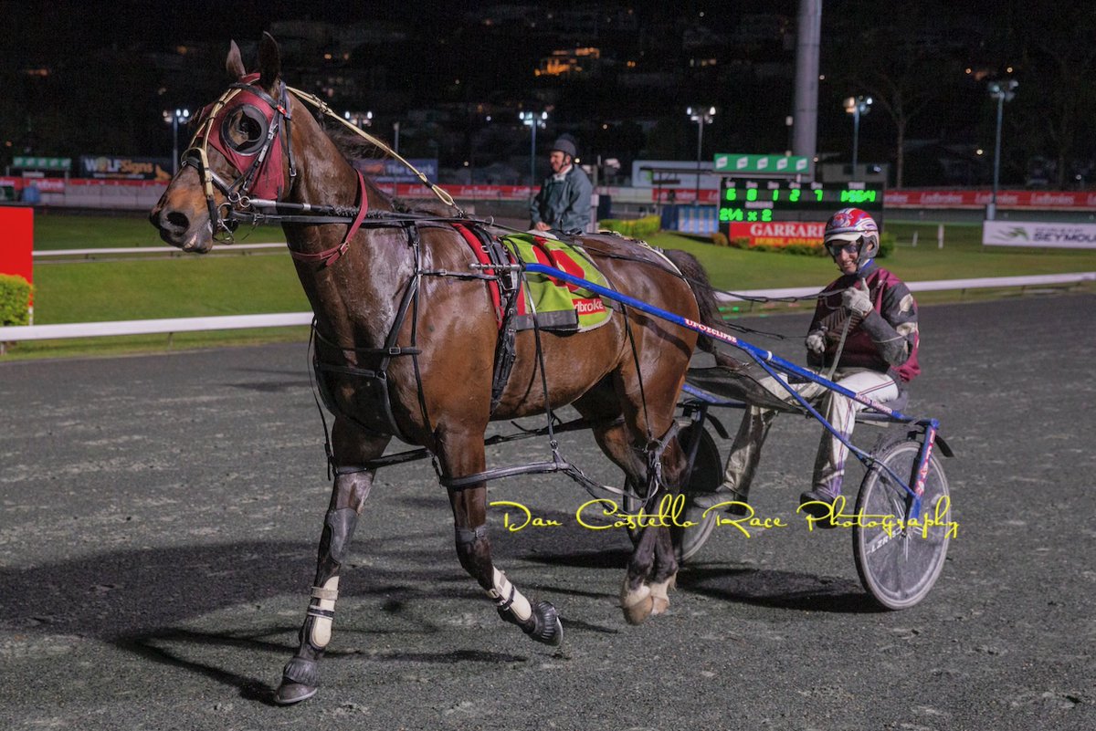 Dan Costello (@danracingwrap) on Twitter photo Double for trainer <a href="/RileyButt6/">Riley Butt</a> as Parama leads all the way to win race 6 <a href="/TheCreekAlbion/">The Creek</a> with <a href="/garrard_angus/">Angus Garrard</a> Double for trainer <a href="/RileyButt6/">Riley Butt</a> as Parama leads all the way to win race 6 <a href="/TheCreekAlbion/">The Creek</a> with <a href="/garrard_angus/">Angus Garrard</a>