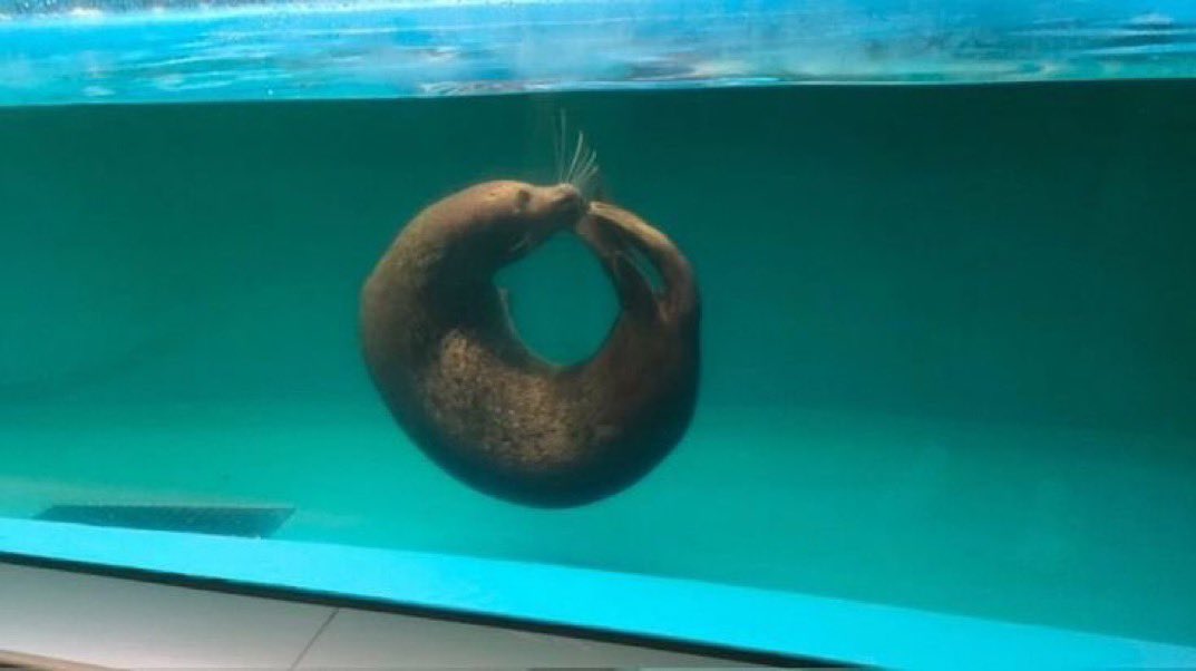 “Man I really wish I had something to eat for breakfast”
The nutritious bagel: