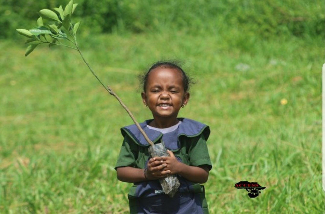 ach_cecilia's tweet image. Everyday is a beautiful day to put a smile on a child
#TreesForTheFuture