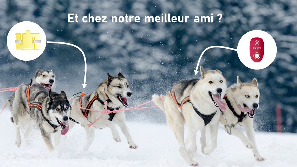 B_MorelP's tweet photo. It was great to come and talk about our latest innovation on the use of #FoVE in trail running at IFEPSA. 🙏@chatrenet &amp; Aymeric Gigon

 Human performance ↔️ Animal ecology

Want to know more? @c_delhaye thread here on our latest paper in @JSportsSci 👇
https://t.co/hNRHEDoxhT https://t.co/TwgrpSTwMA