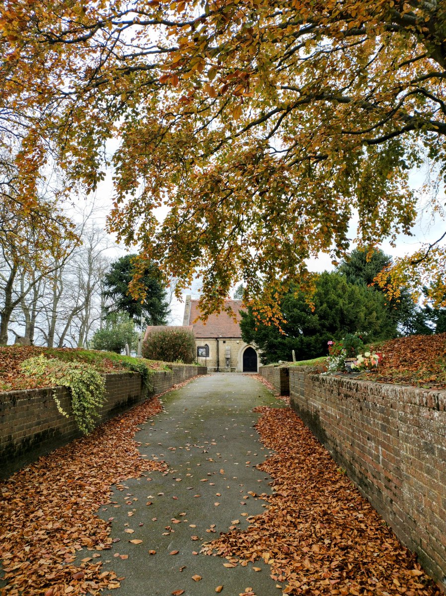 Beautiful #Ash in her autumn splendour 🍂🍁

#GodalmingandAsh