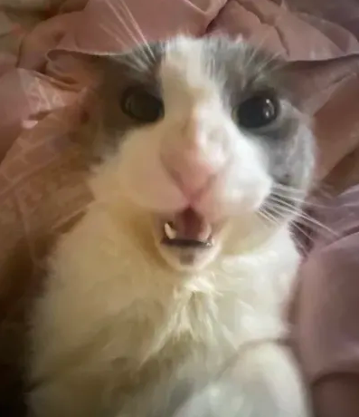 HappyBro2112 tweet media