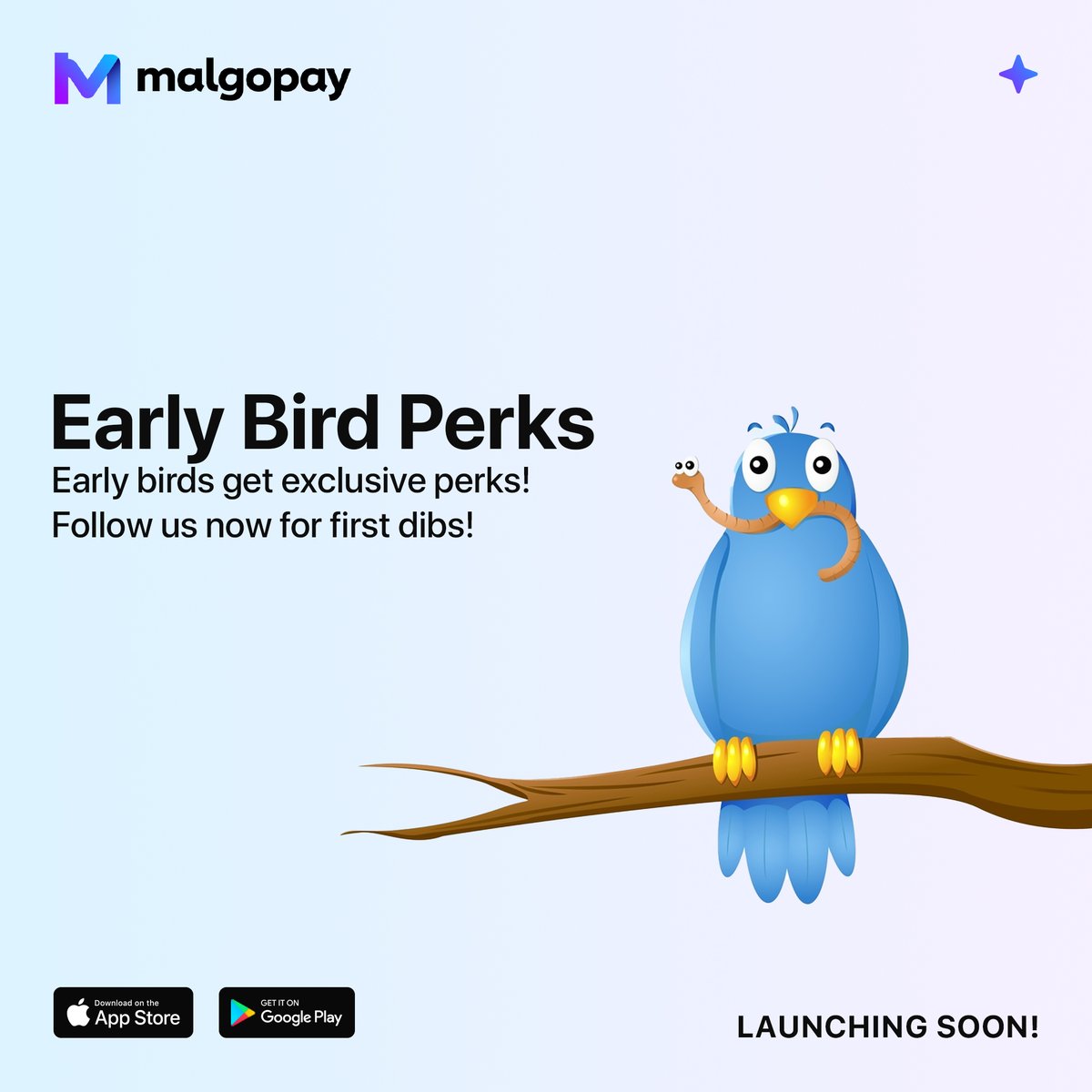 Malgo Pay tweet media