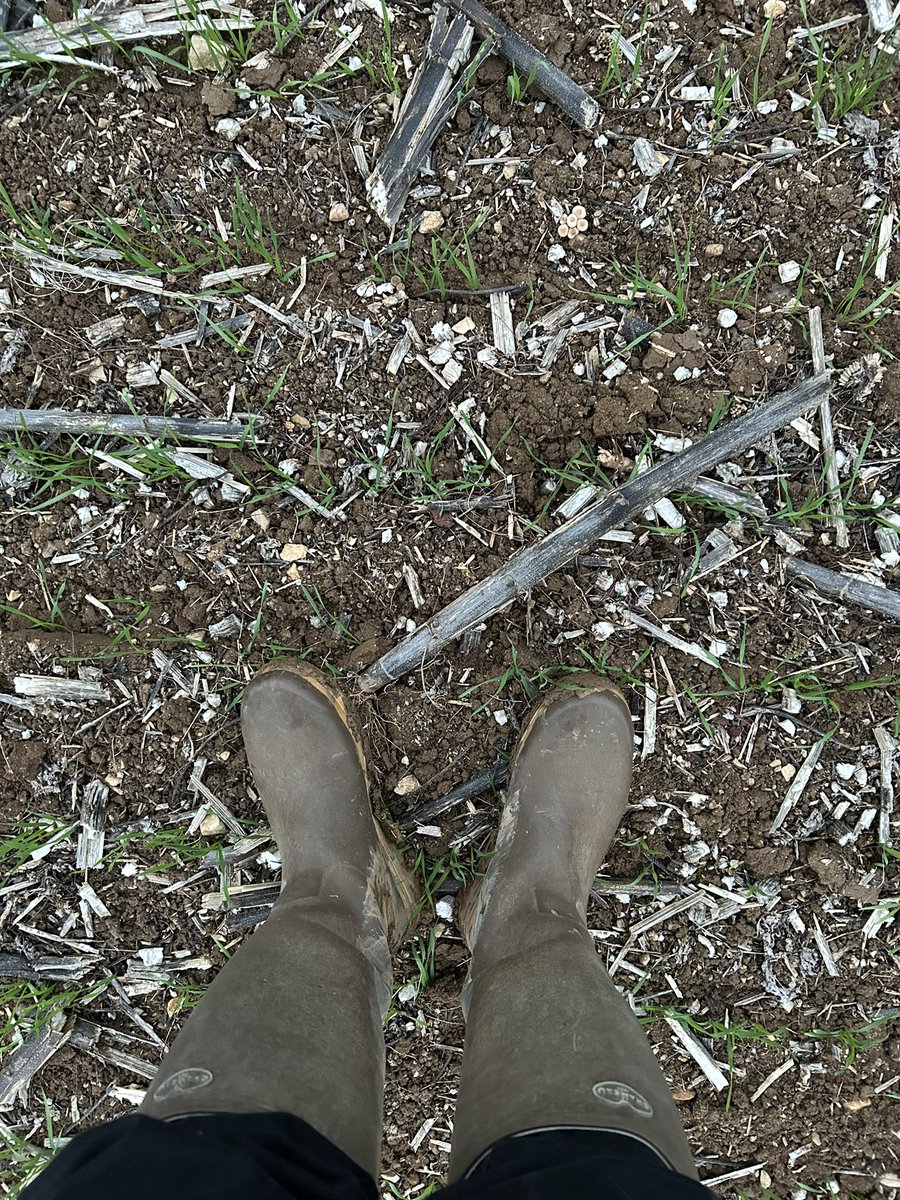 OlivierCOSTE2's tweet photo. On a les bottes @BONNIN1402 et pour le dernier #TDP de la journée,il fait frais ce soir.
#VisMaVieDeArc #FrAgTw https://t.co/8wUSr4pbqU