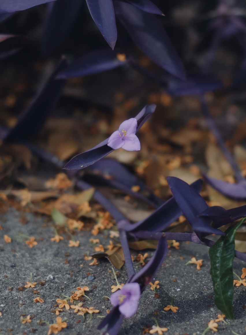 Charm558Angel's tweet image. Ready for liftoff – Lesbian girl!