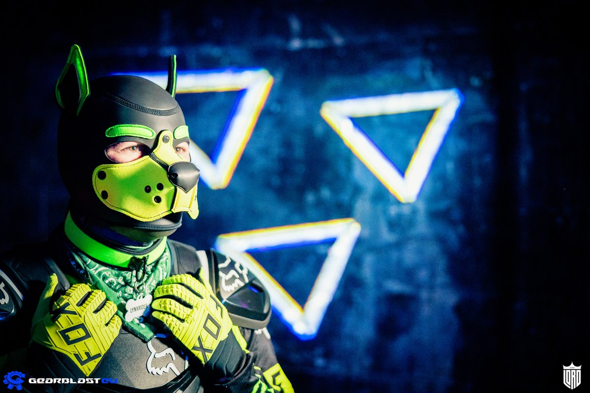 LynxRiderFR's tweet photo. 24/10/2024 - Thanks to @The_Lord_2023 for this shooting at Gearblast EU 2024 !
#gear #gearfun #fetish #fetishlife #fetishphoto #fetishphotography #pupplay #puppyplay #pupfetish #bikerpuppy https://t.co/POq14ZAlkv