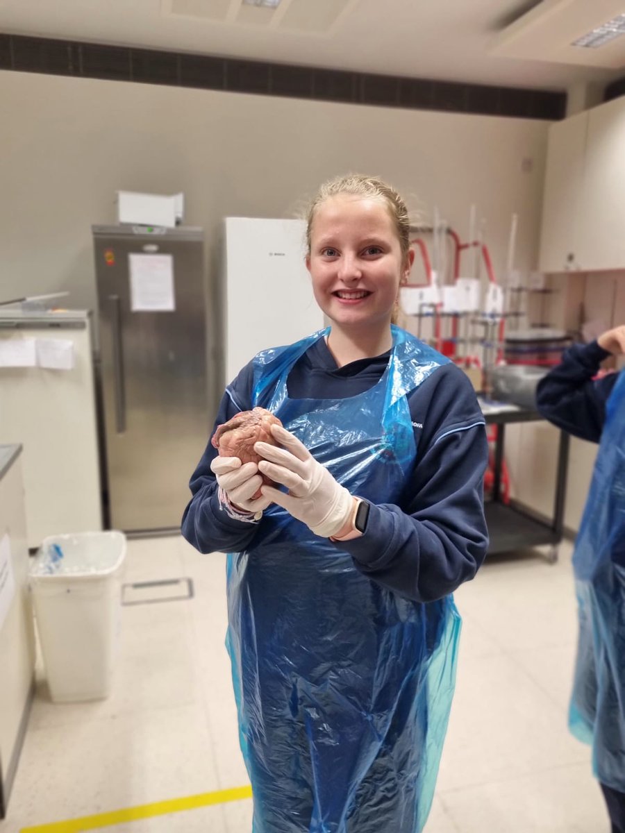 UCC Physiology tweet media