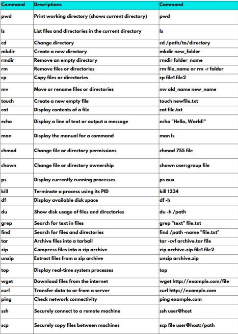 MITRAY PANDIT tweet media