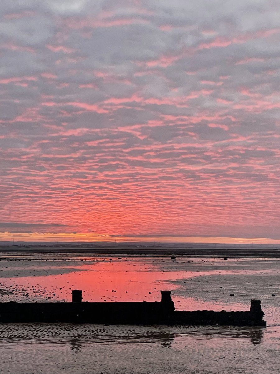 LizAtkin's tweet photo. Scarlet close of day #sunset #horizon #reflections #sea #winterbeach #natureastherapy #sealife #northsea #kent #flashgordon #whitstable https://t.co/iG0eSFMpCw