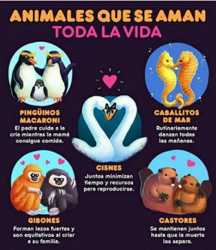 😍 Amor del bueno 🥰