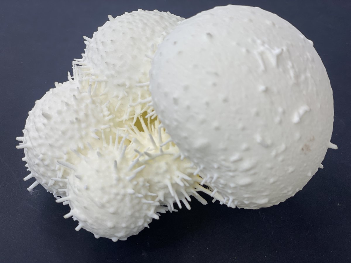 University of Bristol tweet media