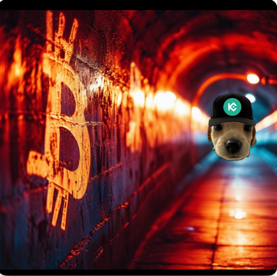 momma_'s tweet photo. @kucoincom I see $BILLY 
In my future 

So WEN $BILLY  Kucoin https://t.co/Hrjf4NApRx