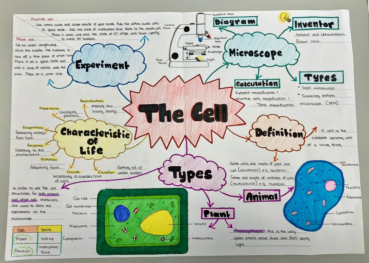 Mungret CC Wellbeing tweet media