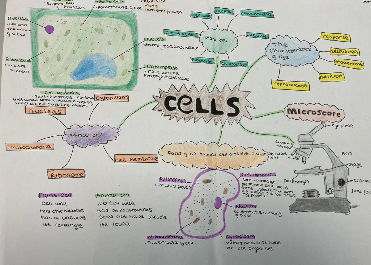 Mungret CC Wellbeing tweet media