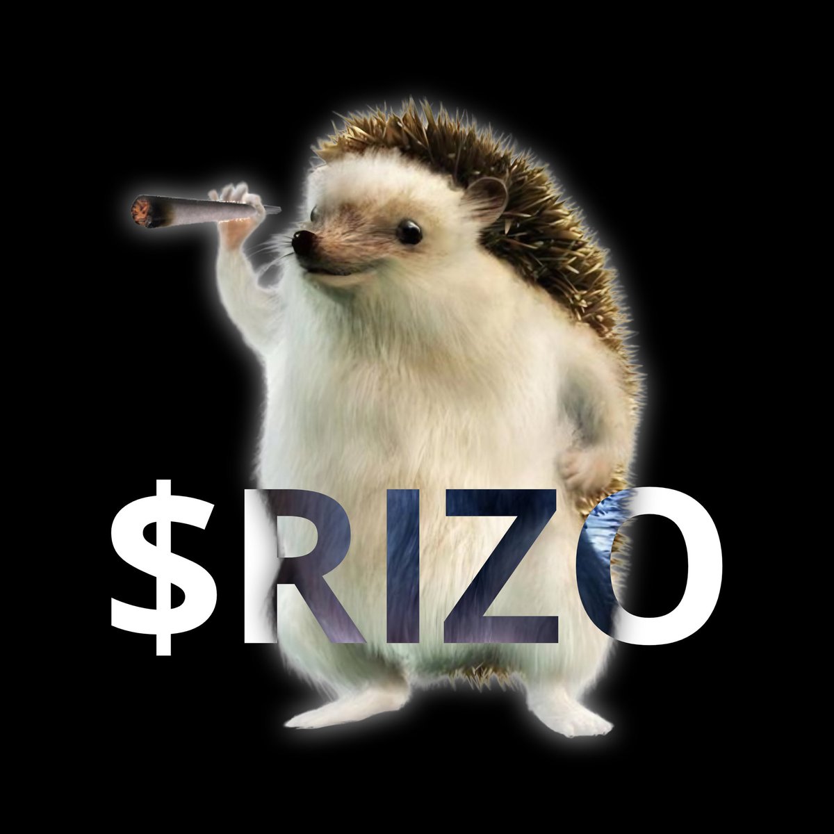 RizoERC20's tweet photo. Callers lined up. Trending and boosts paid. We are giving it all for $RIZO https://t.co/8VC8RD6DFU
