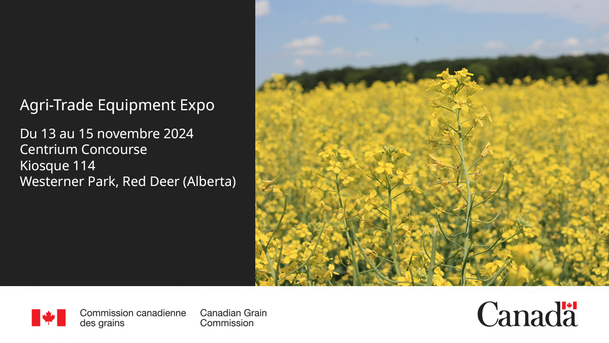 Grains_Canada's tweet image. C’est la première journée de l’exposition agricole @agritradetoday! Vous nous trouverez au kiosque 114 du Centrium Concourse. Des membres de nos équipes de l’agrément et de l’inspection sont là pour discuter avec vous. #Agritrade2024 #AgAB