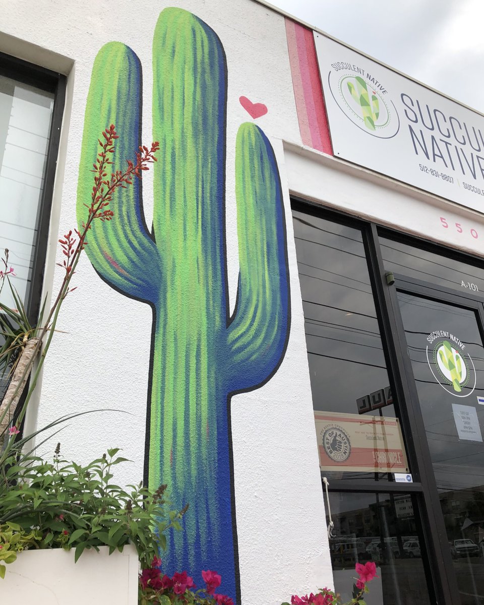 KubbyIO's tweet photo. @Succulentnative  celebrates the beauty of cacti and succulents, offering unique arrangements, workshops, and a community that welcomes everyone to grow alongside them. Come explore a world where every plant tells a story! 🌱✨ #austin #shop #local #plants #kubby https://t.co/WLQkJ8t8Vy