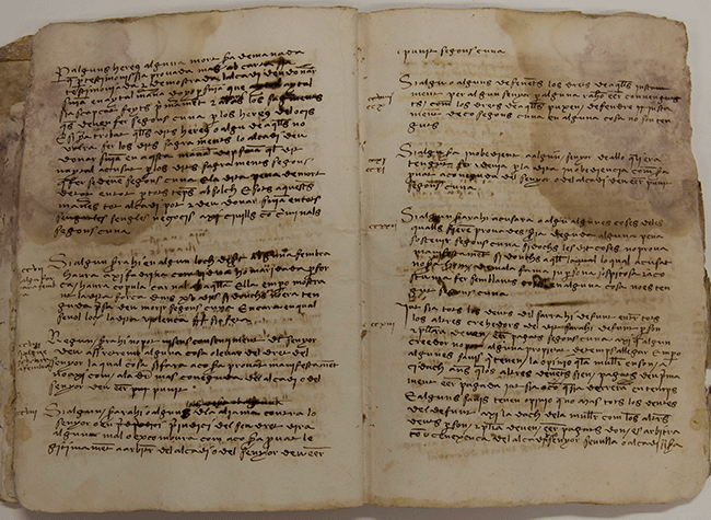AilaAsociacion's tweet photo. La @BNE_biblioteca expone el Archivo del #CondedeOrgaz, un rico fondo documental que recorre 8 siglos de historia.
☑125 obras: privilegios rodados del XII, XIII y XIV, documentación de las principales casas nobiliarias, documentos carlistas...
▶+info: https://t.co/MFUZ3CGtz9 https://t.co/zGdlsCajrX